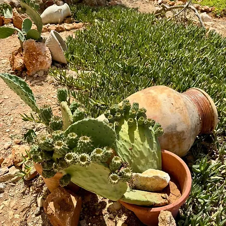 Aria Vacanze * Favignana